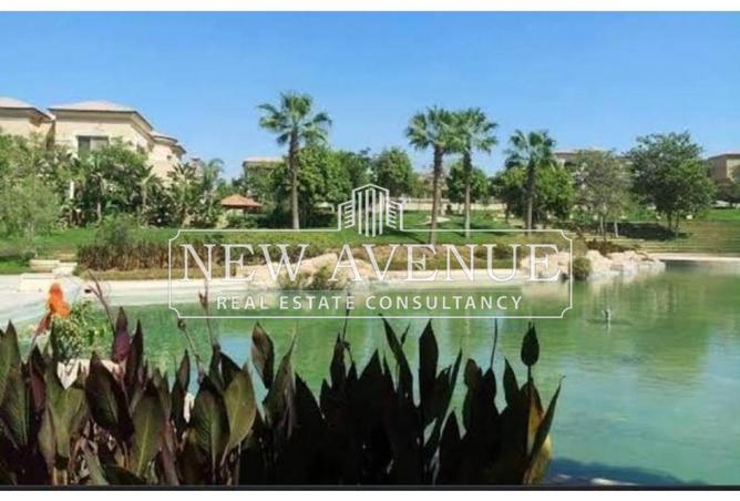 8275924 - Property Image 2