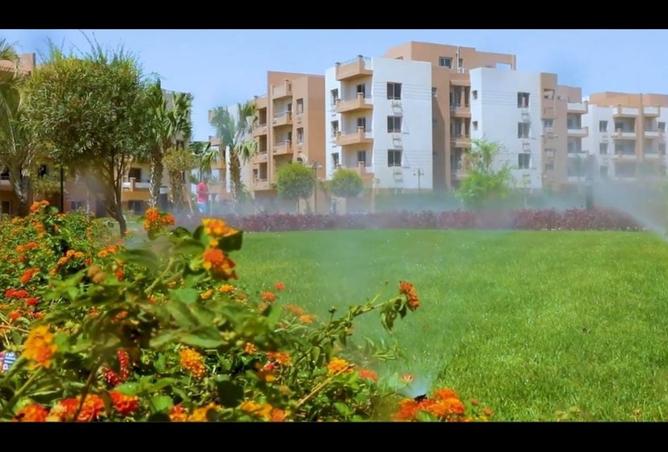 8275674 - Property Image 2