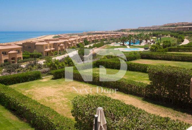 8275773 - صورة العقار 2