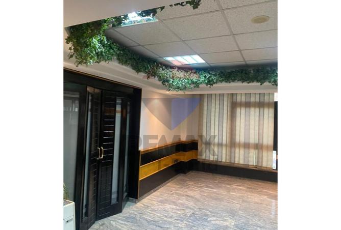 8276330 - Property Image 3