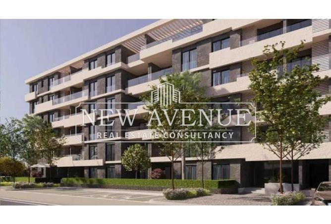 8283204 - Property Image 2