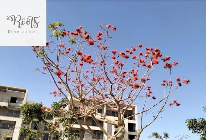 8276825 - Property Main Image