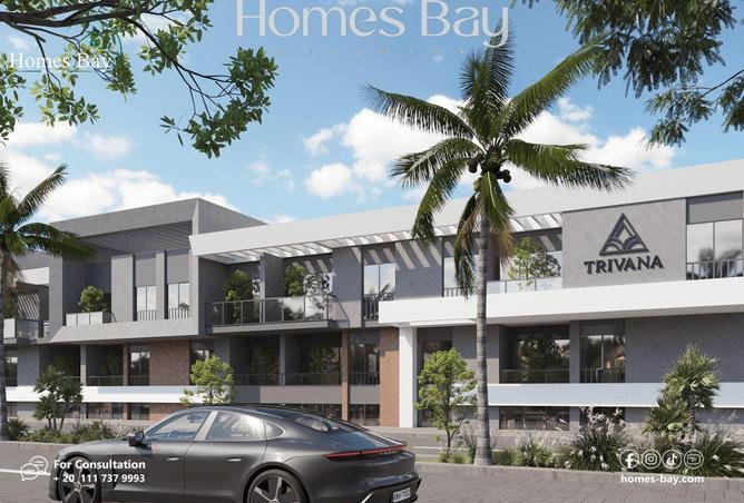 8277288 - Property Image 2