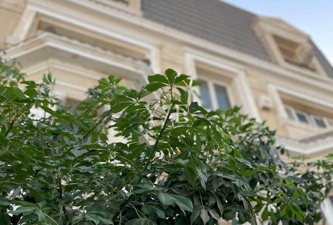 8277923 - صورة العقار 2