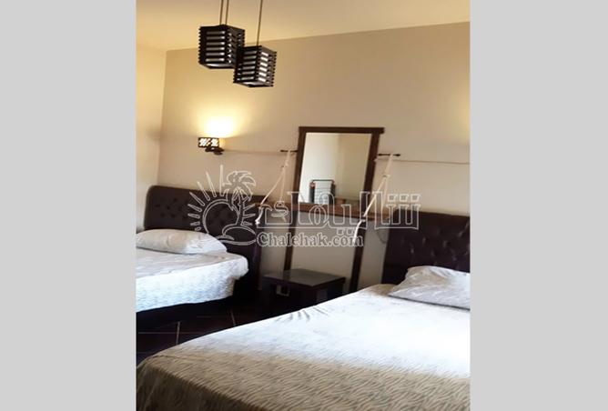 8278043 - Property Image 3