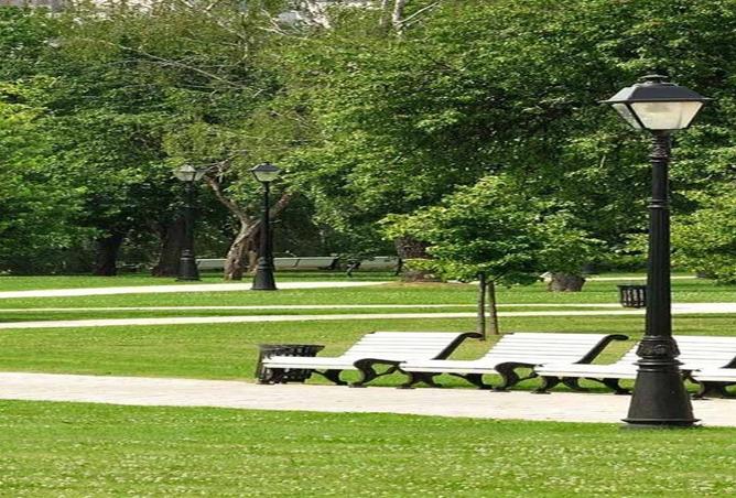 8279804 - صورة العقار 2