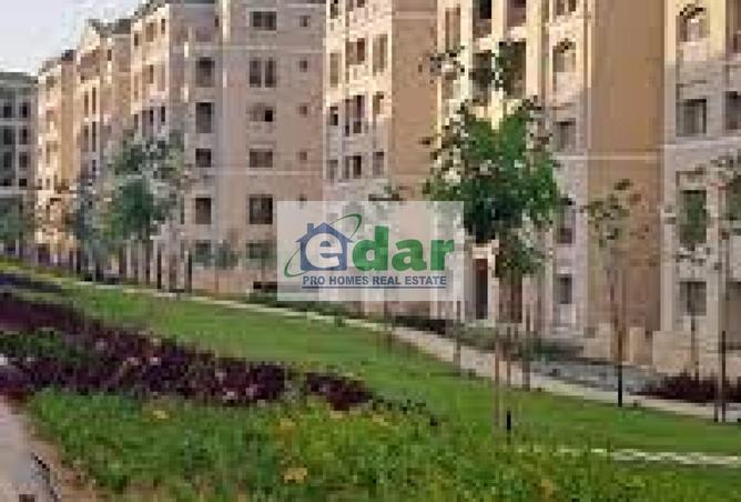 8281594 - صورة العقار 2