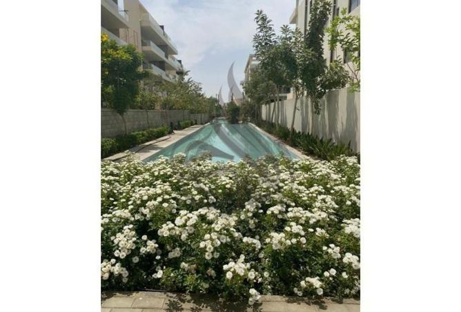 8281735 - صورة العقار 3