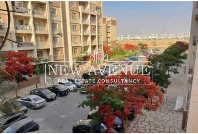 8290462 - Property Image 3