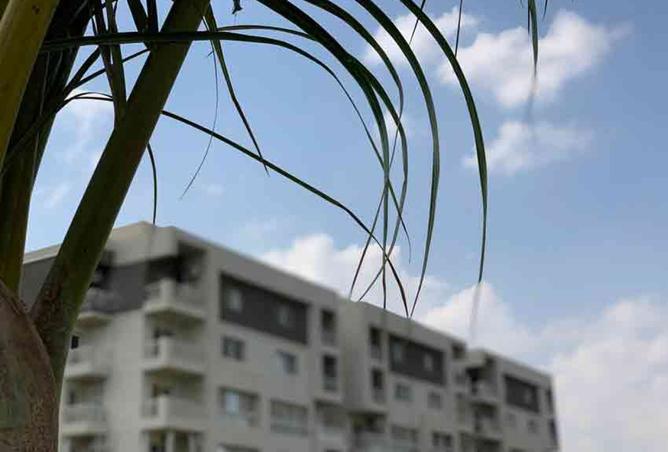 8282371 - صورة العقار 3