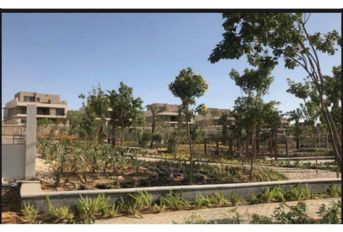 8282836 - صورة العقار 3