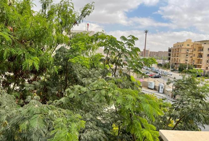 8328111 - صورة العقار 2