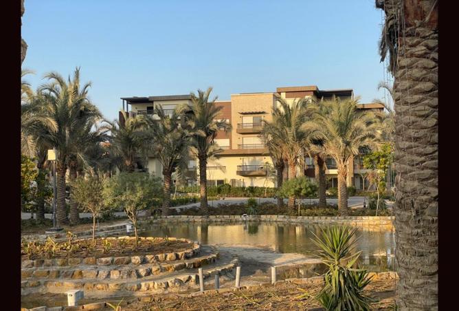 8284007 - Property Image 3