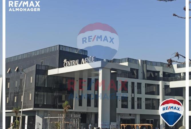 8284102 - Property Image 3