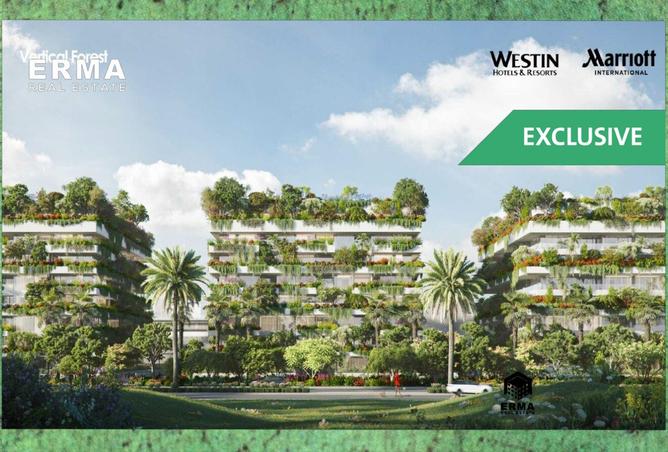 8286604 - صورة العقار 2