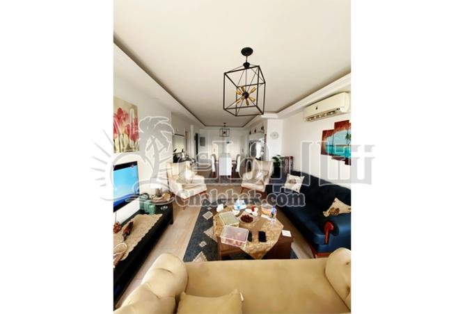 8287735 - Property Image 2