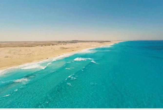 8300686 - صورة العقار 3