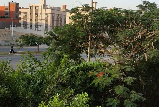 8289529 - صورة العقار 2