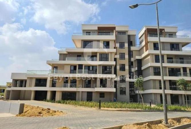 8293400 - Property Image 3