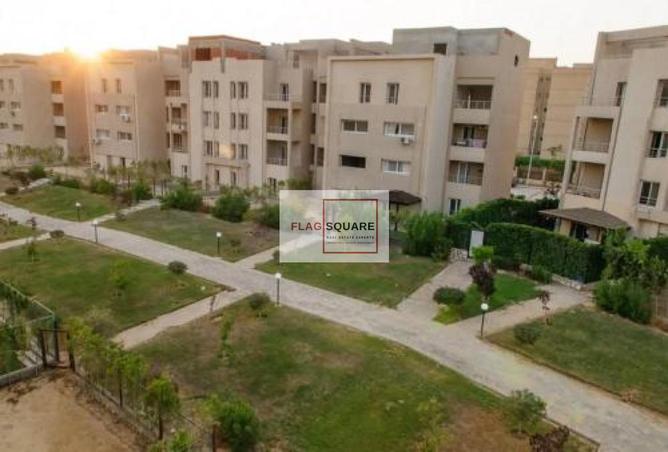 8290392 - صورة العقار 3