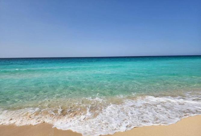 8290887 - Property Image 2