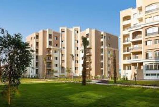 8290788 - Property Image 3