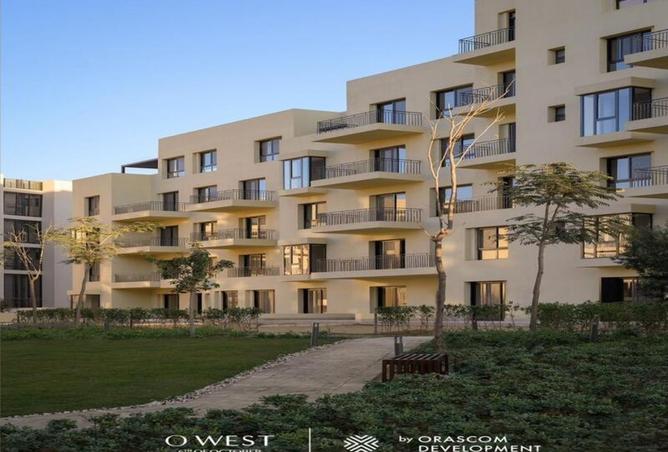 8291391 - Property Image 2