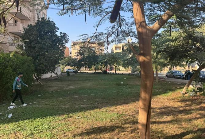 8291360 - صورة العقار 3