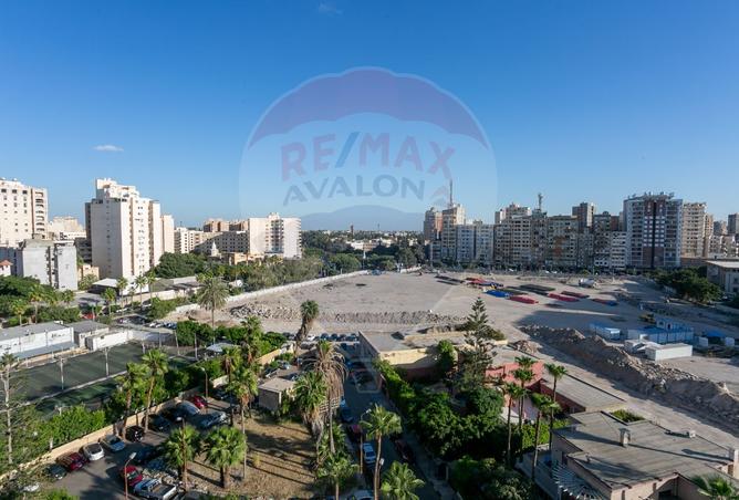 7988212 - صورة العقار 2