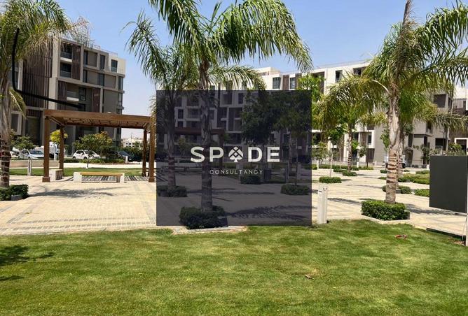 8394461 - Property Image 3