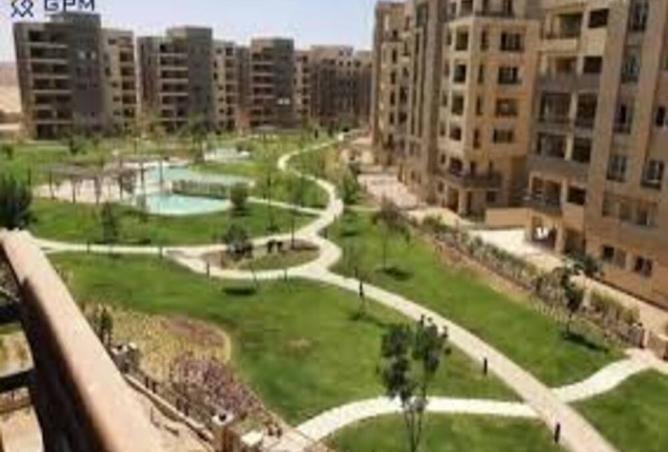 8292635 - صورة العقار 3