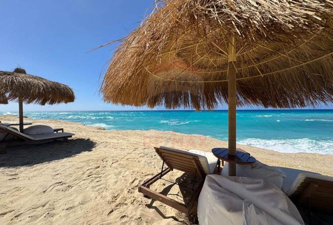 8293450 - صورة العقار 3