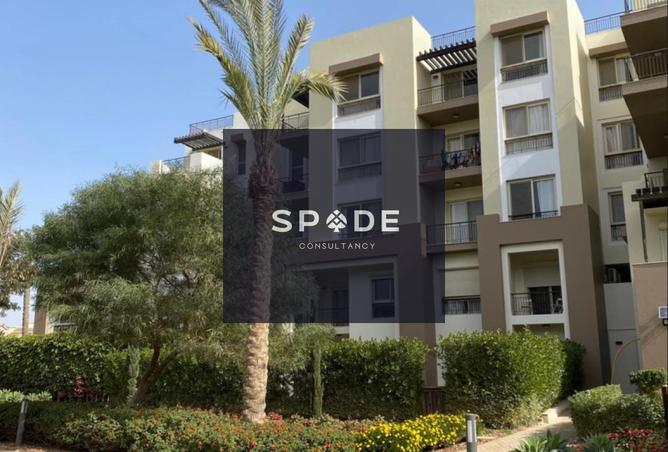 8294399 - Property Image 3