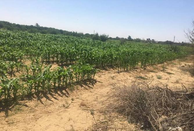 8295959 - Property Image 2