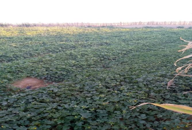 8295959 - Property Image 3