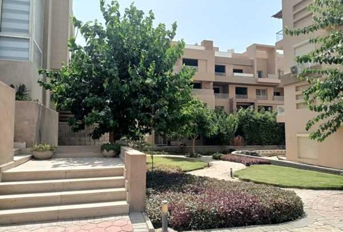 8426579 - Property Image 2