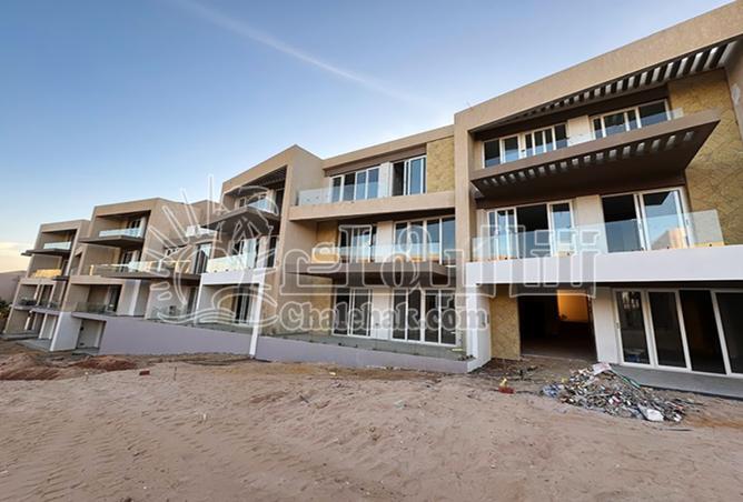 8296113 - Property Image 3