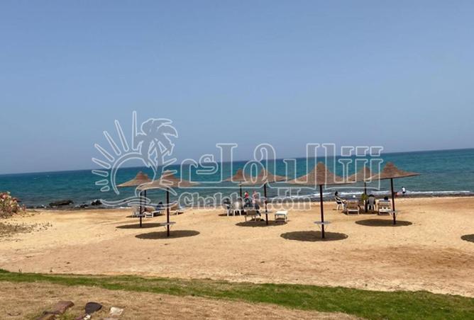 8296195 - صورة العقار 2