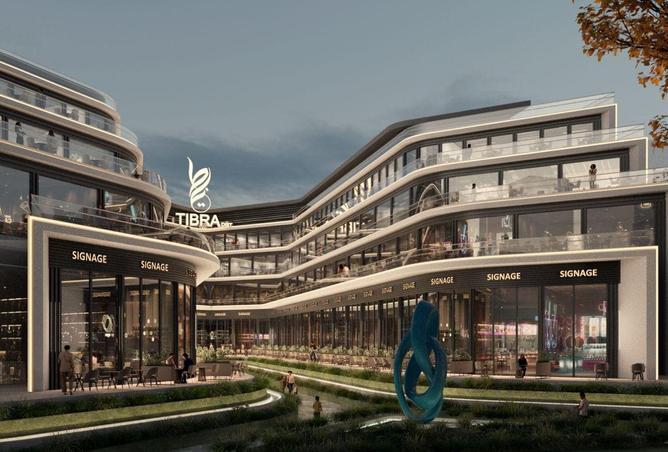 8297616 - Property Image 3