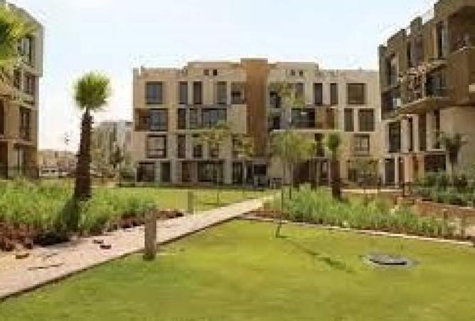 8298001 - صورة العقار 3