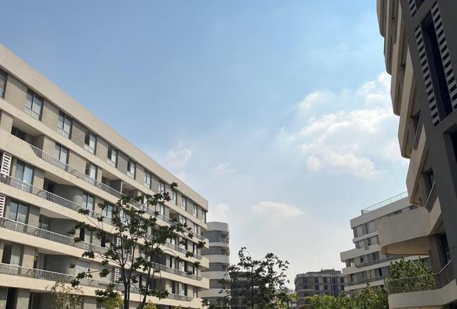 8412200 - صورة العقار 2