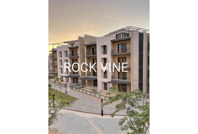 8374300 - Property Image 3