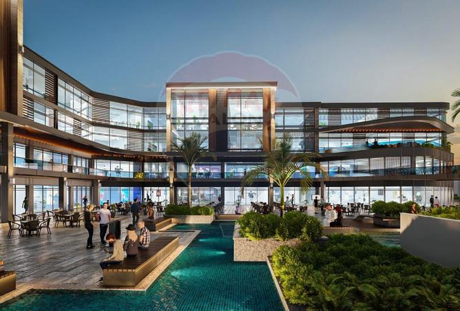 8299524 - Property Image 3