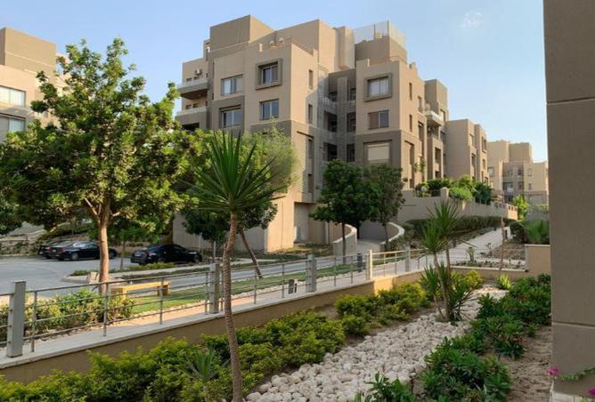 8300081 - الصورة الرئيسية للعقار