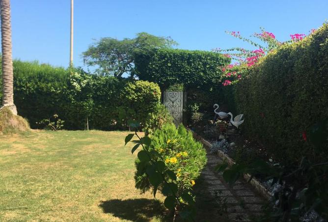 8300653 - صورة العقار 2