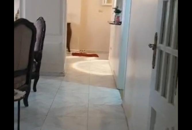 8300794 - Property Main Image