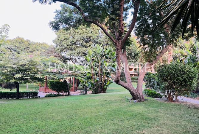 8310865 - صورة العقار 2