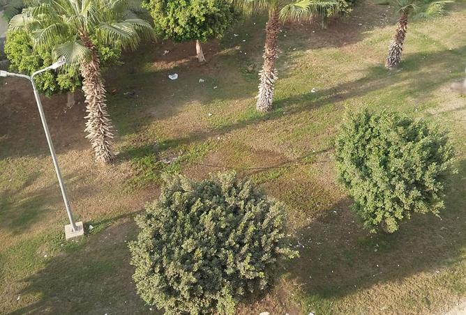 8301238 - Property Image 3