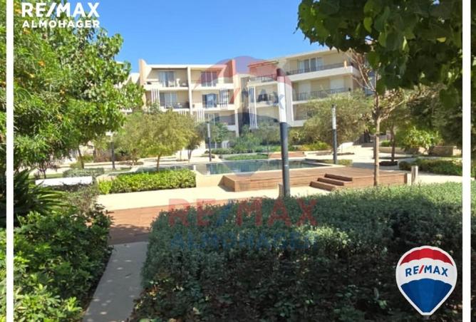 8311877 - Property Image 3