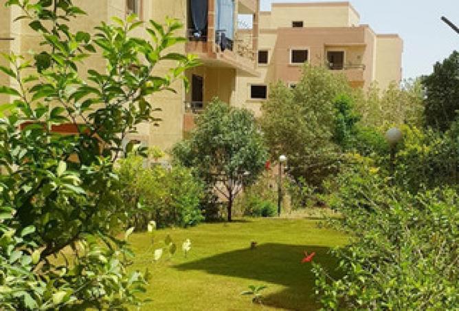 8303944 - صورة العقار 3